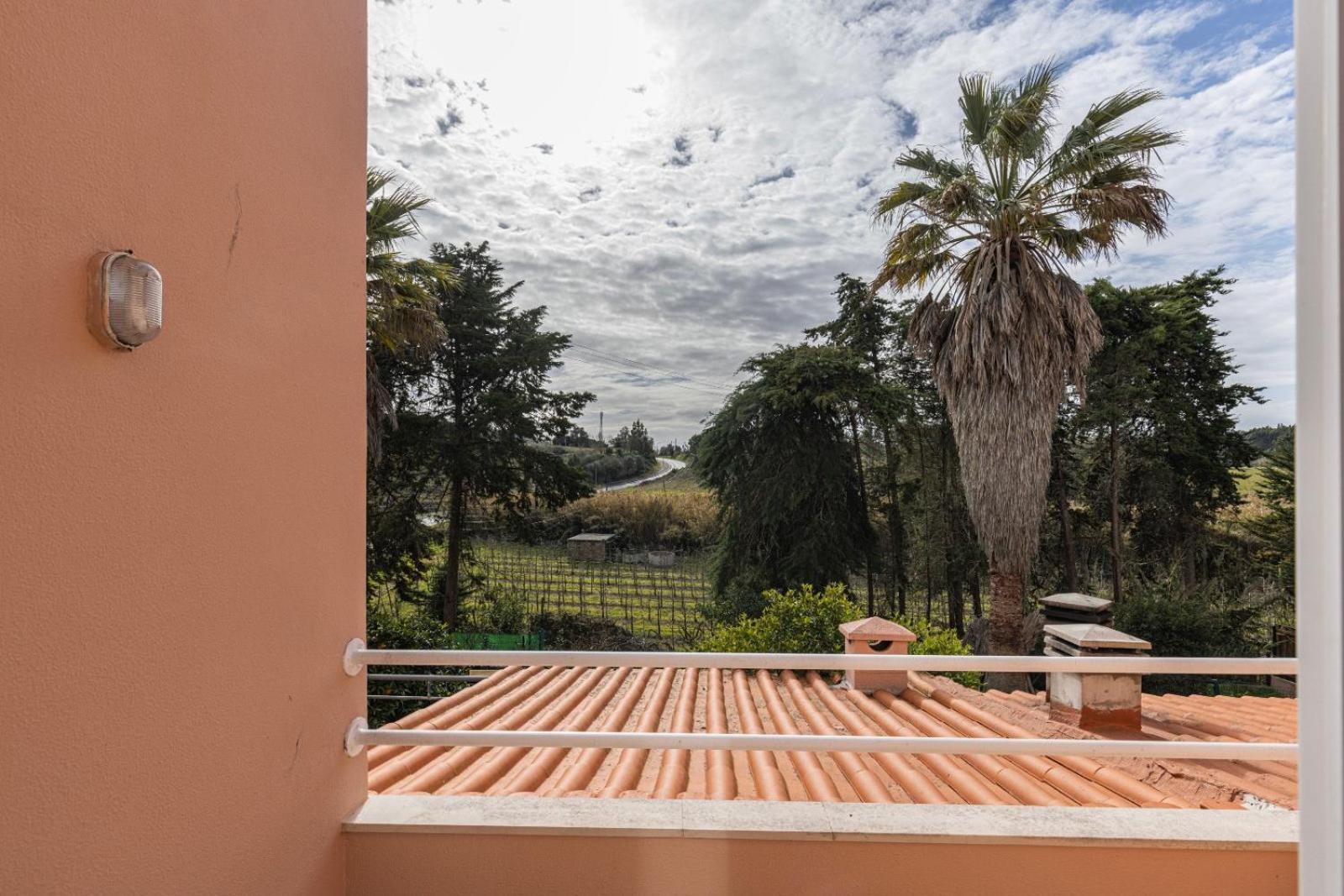 Hidden Garden Near The Castle Villa Obidos Luaran gambar