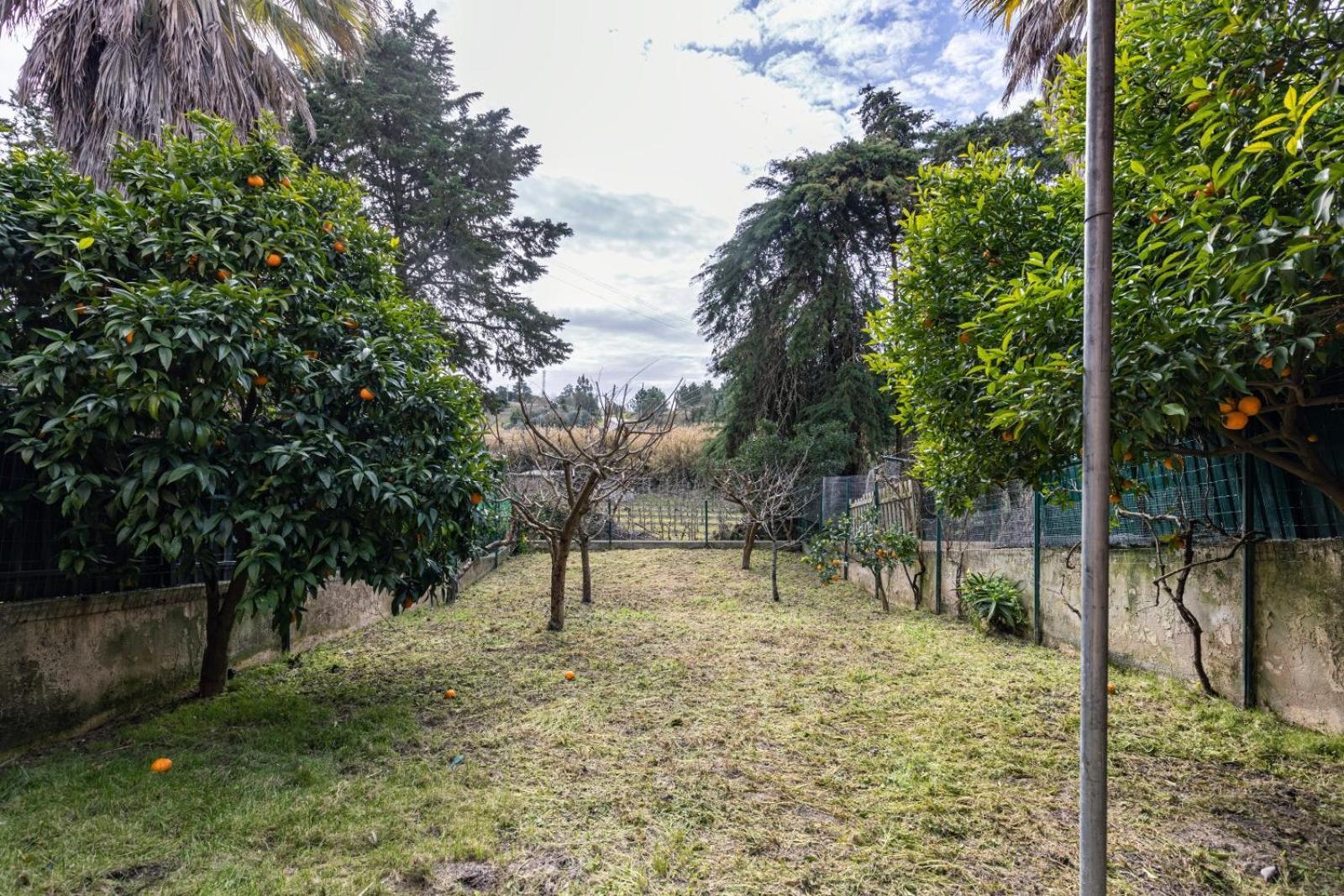 Hidden Garden Near The Castle Villa Obidos Luaran gambar